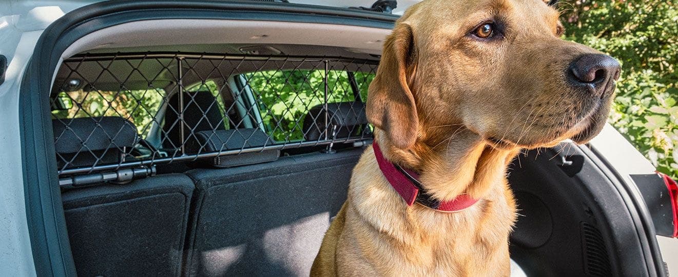 How to Install DriveDen Dog Guards