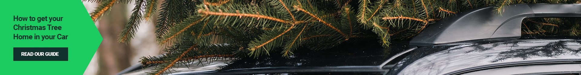 How to get your Christmas Tree Home in your Car